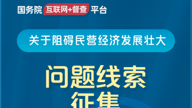 欧美大黑鸡巴尻逼视频国务院“互联网+督查”平台公开征集阻碍民营经济发展壮大问题线索